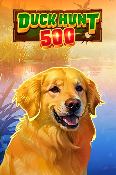 Duck Hunt 500?height=600